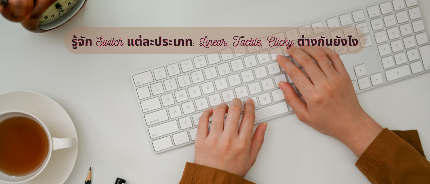 รู้จัก Switch แต่ละประเภท Linear, Tactile, Clicky ต่างกันยังไง